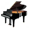 Grand Piano C5L Yamaha